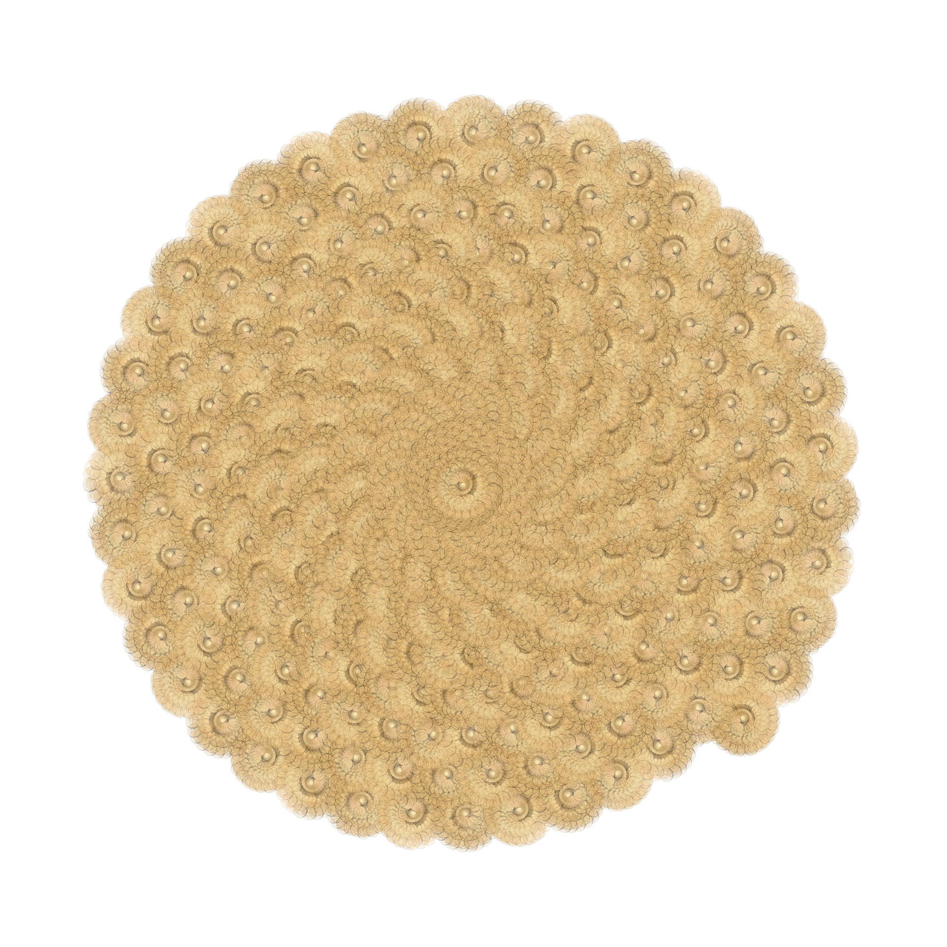 SPIN #0599