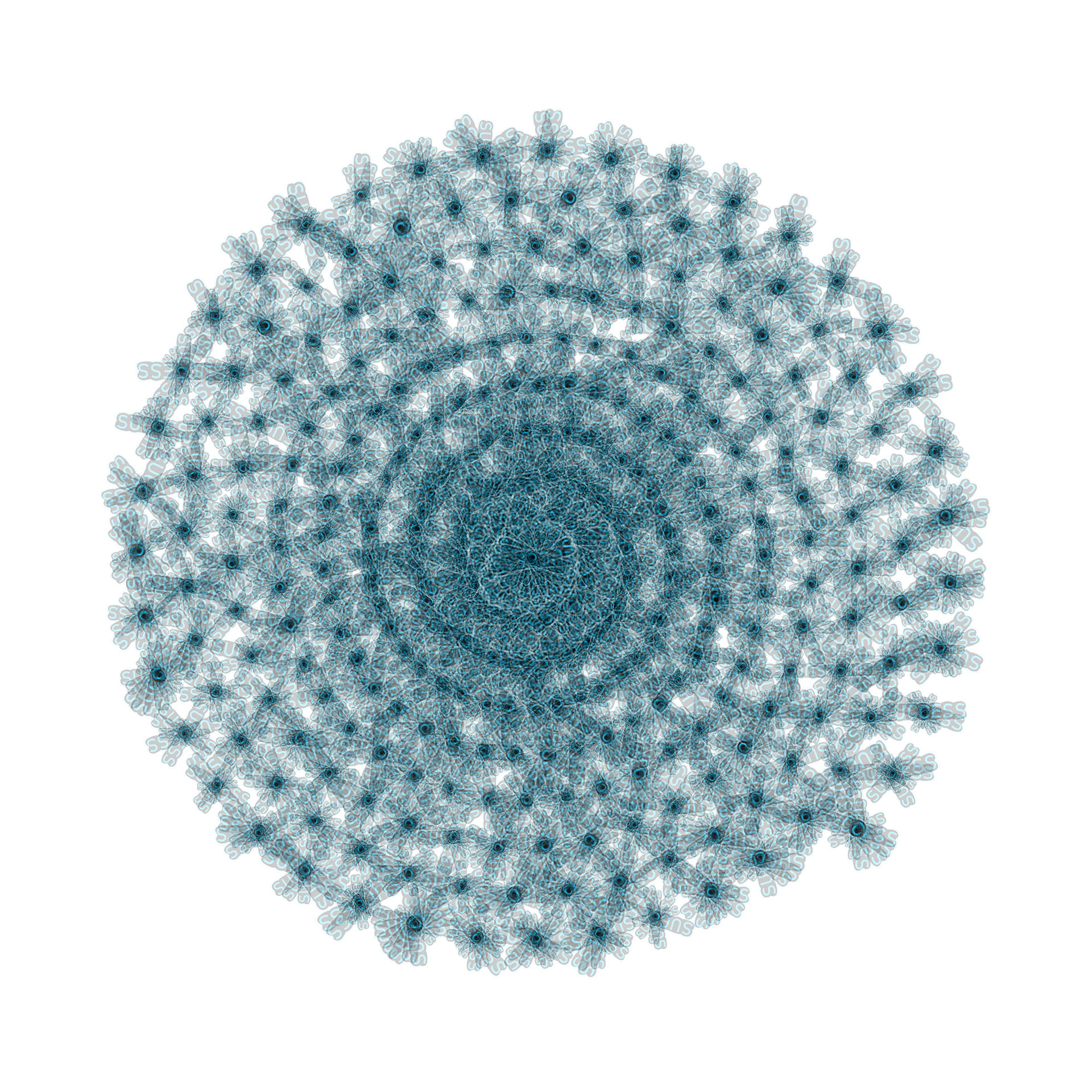 SPIN #0132